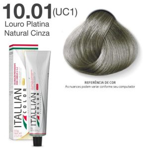 COLOR PREMIUM 10.01 LOURO PLATINA NATURAL CINZA 60G