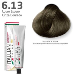 COLOR PREMIUM 6.13 LOURO ESCURO CINZA DOURADO 60G
