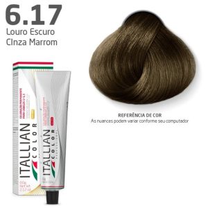 COLOR PREMIUM 6.17 LOURO ESCURO CINZA MARROM 60G