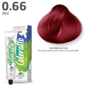 COLOR COLORATTO PINK 0.06 60G